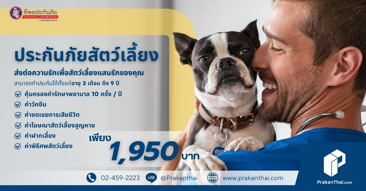 ประกันทิพยคนรักสัตว์เลี้ยง