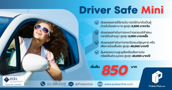 Driver Safe - Mini