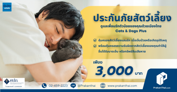 Cats & Dogs Plus