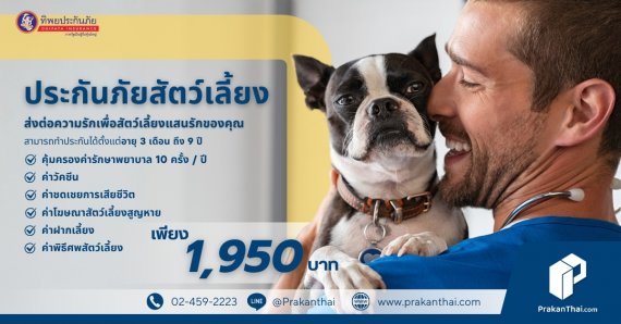 ประกันทิพยคนรักสัตว์เลี้ยง